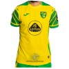 Officiële Voetbalshirt Norwich City Thuis 2021-22 - Heren